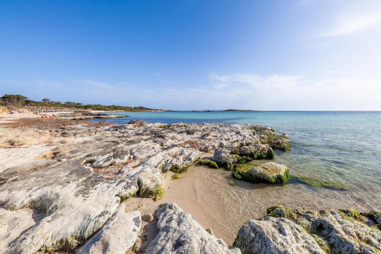 Ses Salines Cottage With Private Pool And Barbecue Екстериор снимка