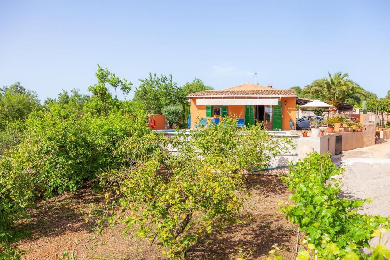 Ses Salines Cottage With Private Pool And Barbecue Екстериор снимка